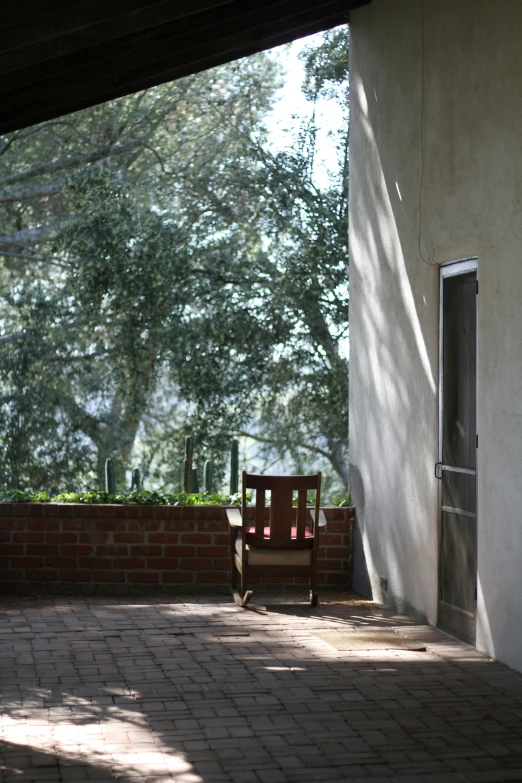 a chair and some trees by the sidewalk