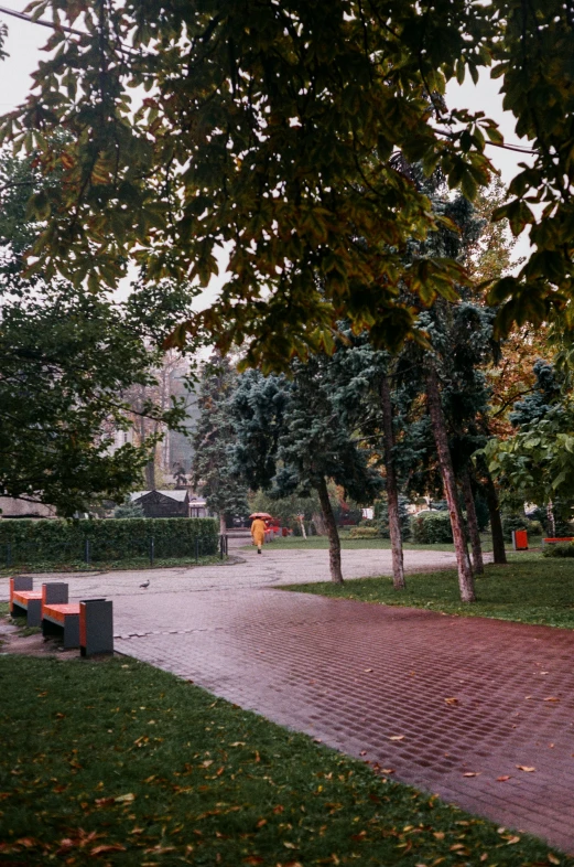 a brick path on the side of a path in a park