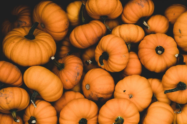 orange gourds and pumpkins laying together on the table