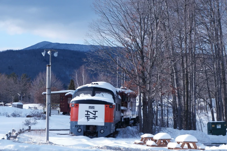 a train traveling past mountains near a forest