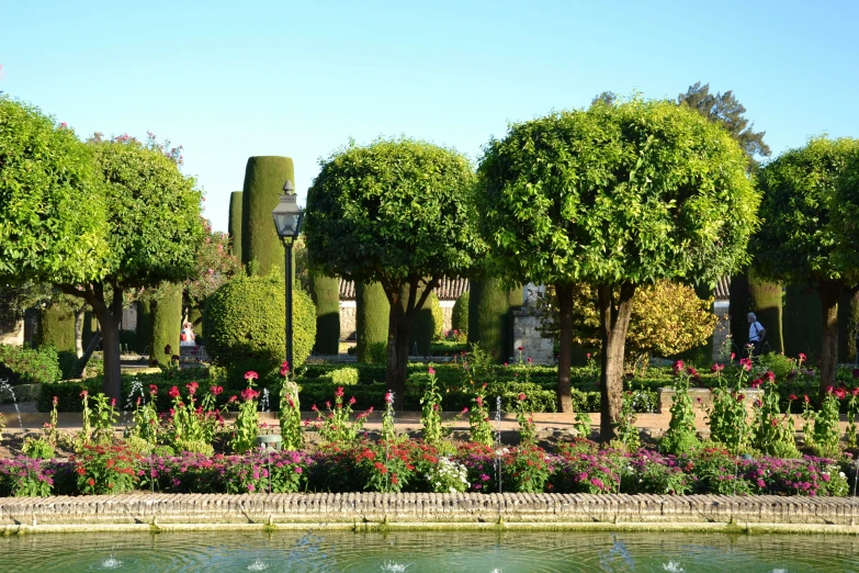 flowers and a pond in front of some buildings