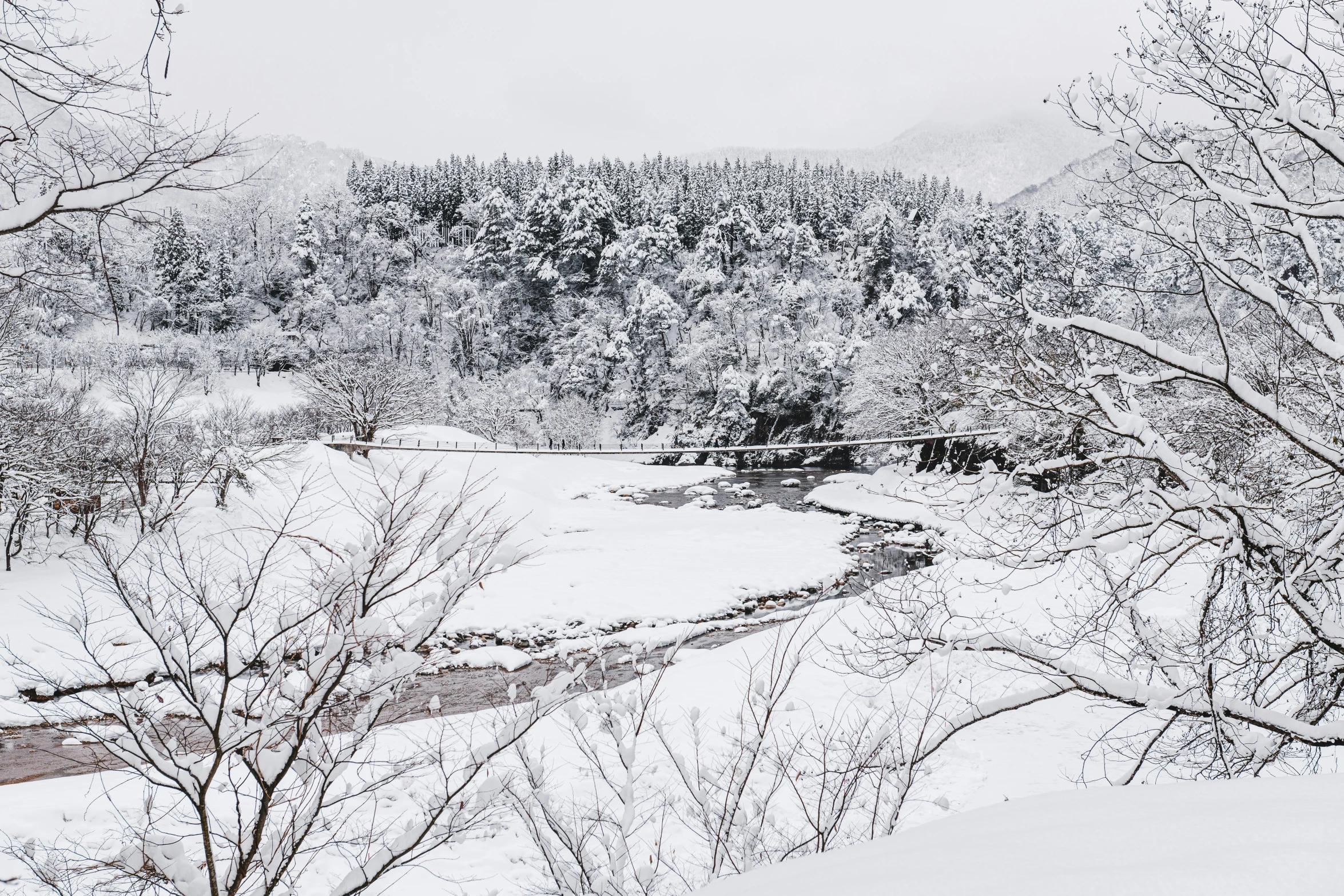 a snowy river below a large wooded area