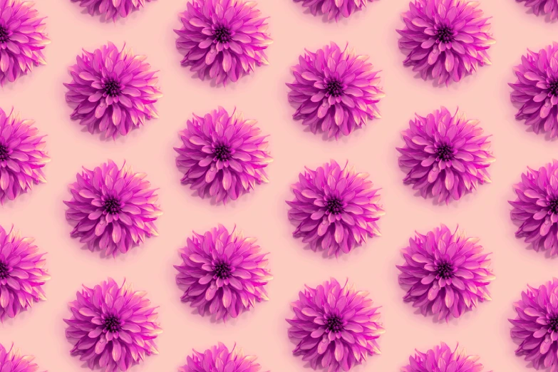 a pink flower design for iphone 11