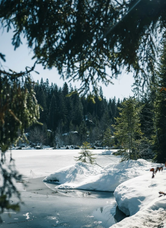 the lake has frozen over and snow is on the shore