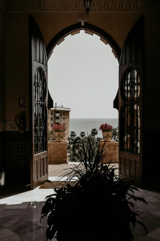 an arched doorway with a potted plant on it