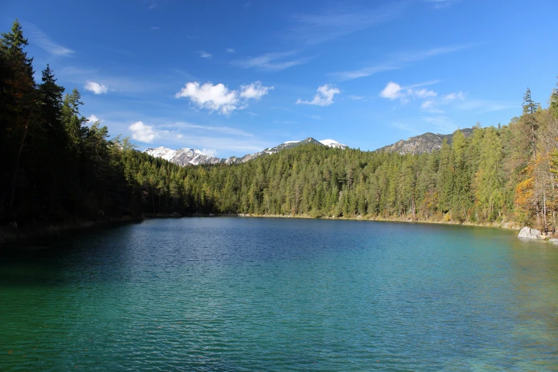 a lake with green water surrounded by forest