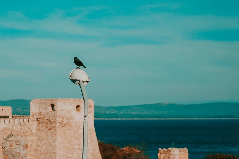 a bird is sitting on the top of a lamppost