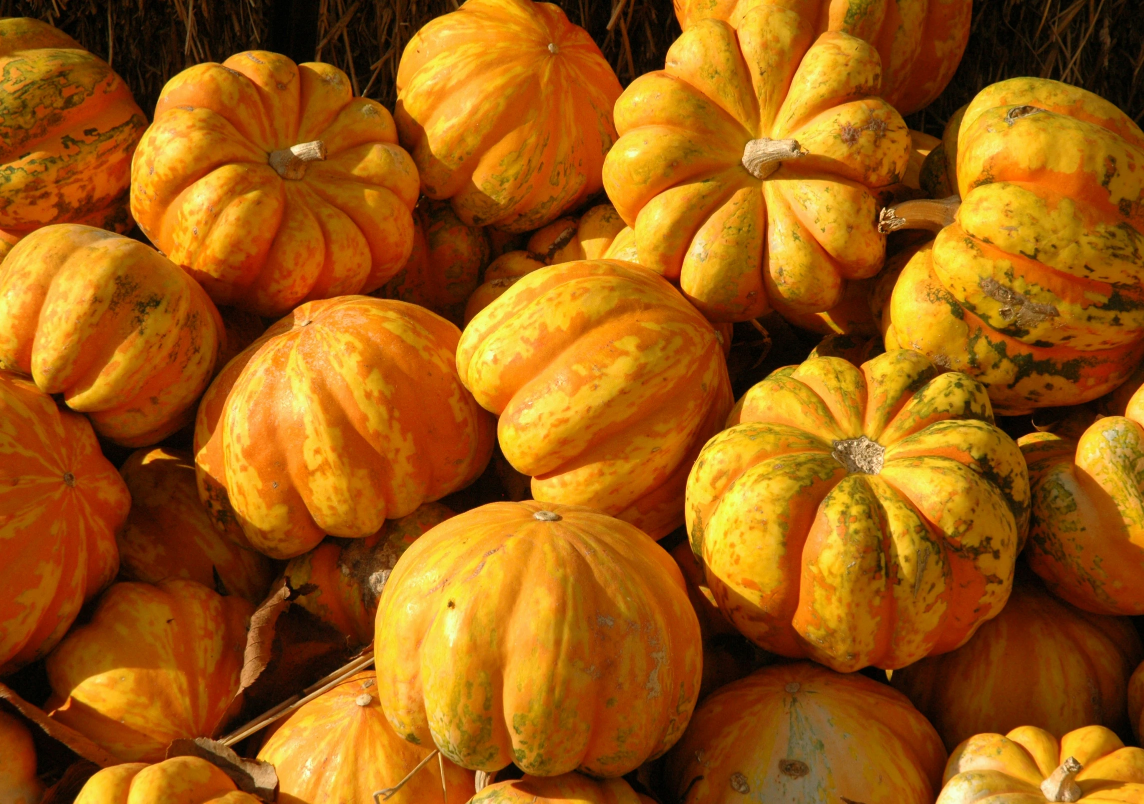 a pile of yellow squash is on display