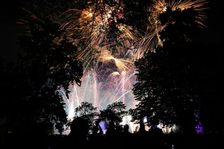 fireworks exploding in the sky above trees