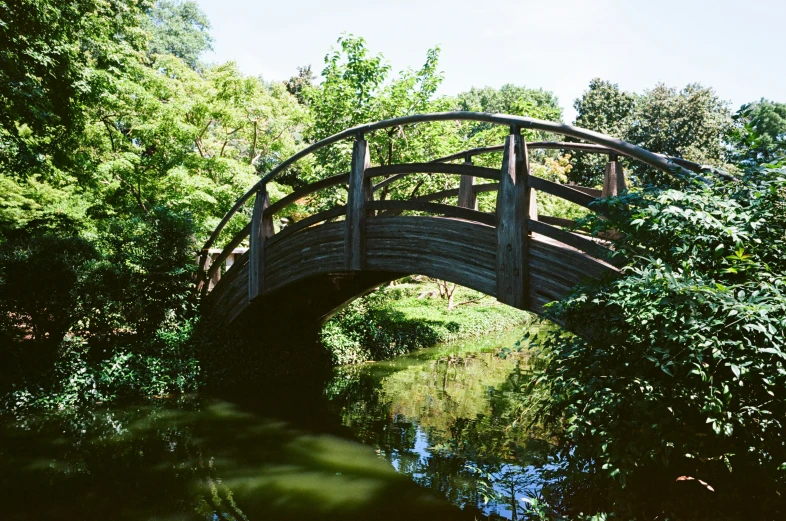 a beautiful wooden bridge spanning the creek with its own lush vegetation