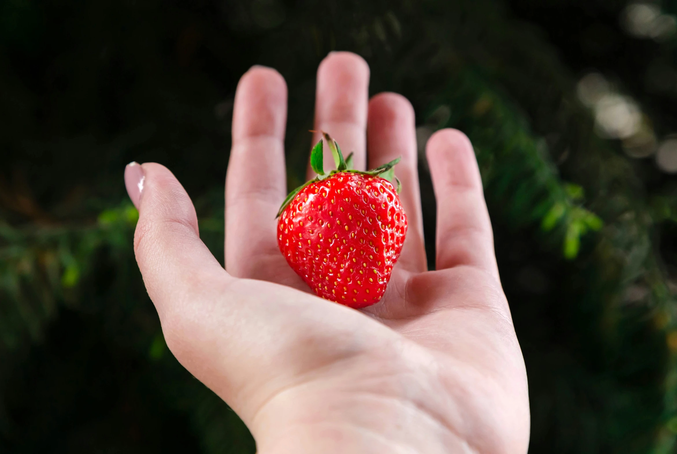 a hand with a strawberry that is held in it