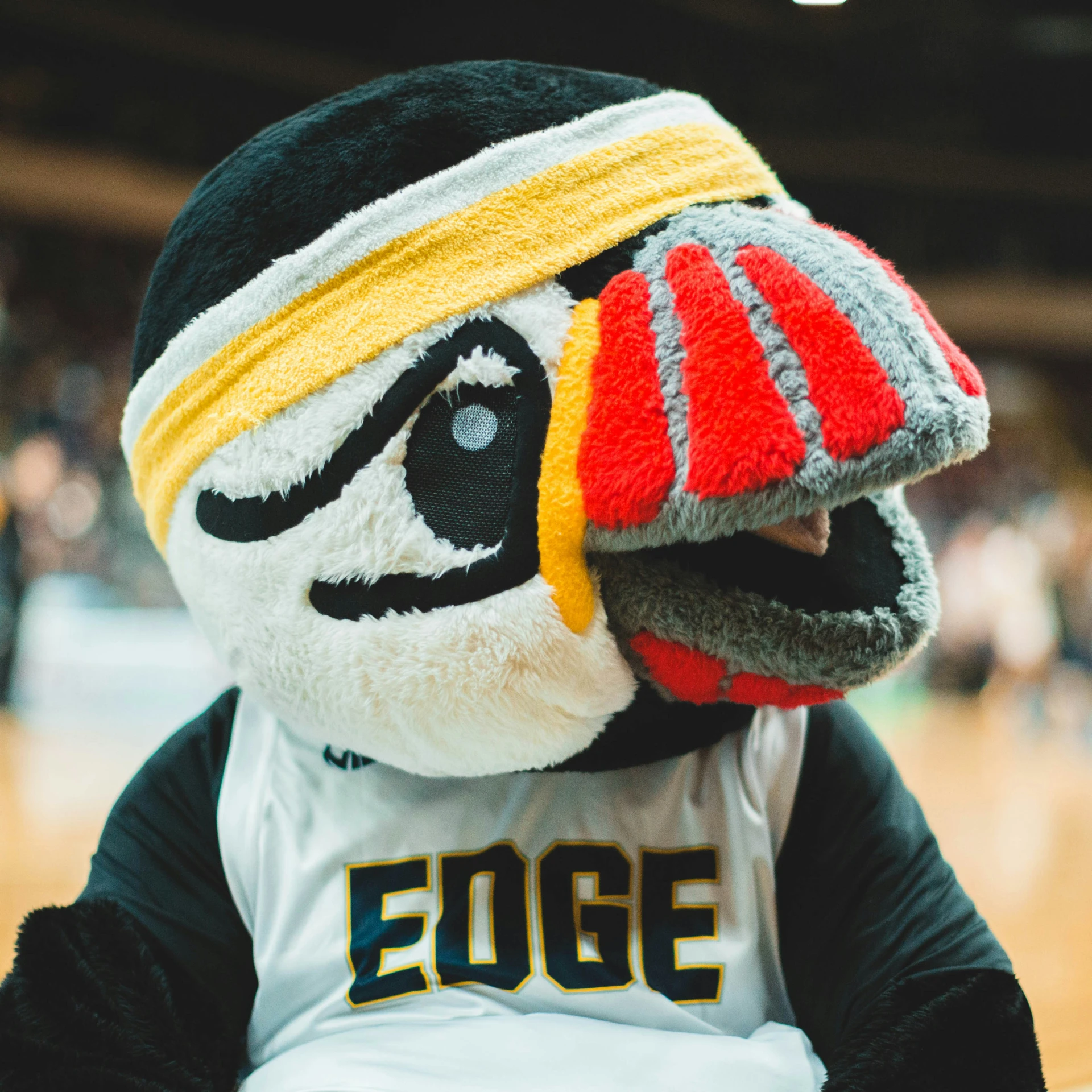 the mascot is wearing a red, white and black hat