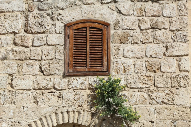 small window in an old stone wall with plant below it