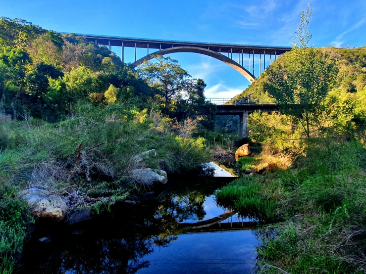 a bridge is over some water near a hill