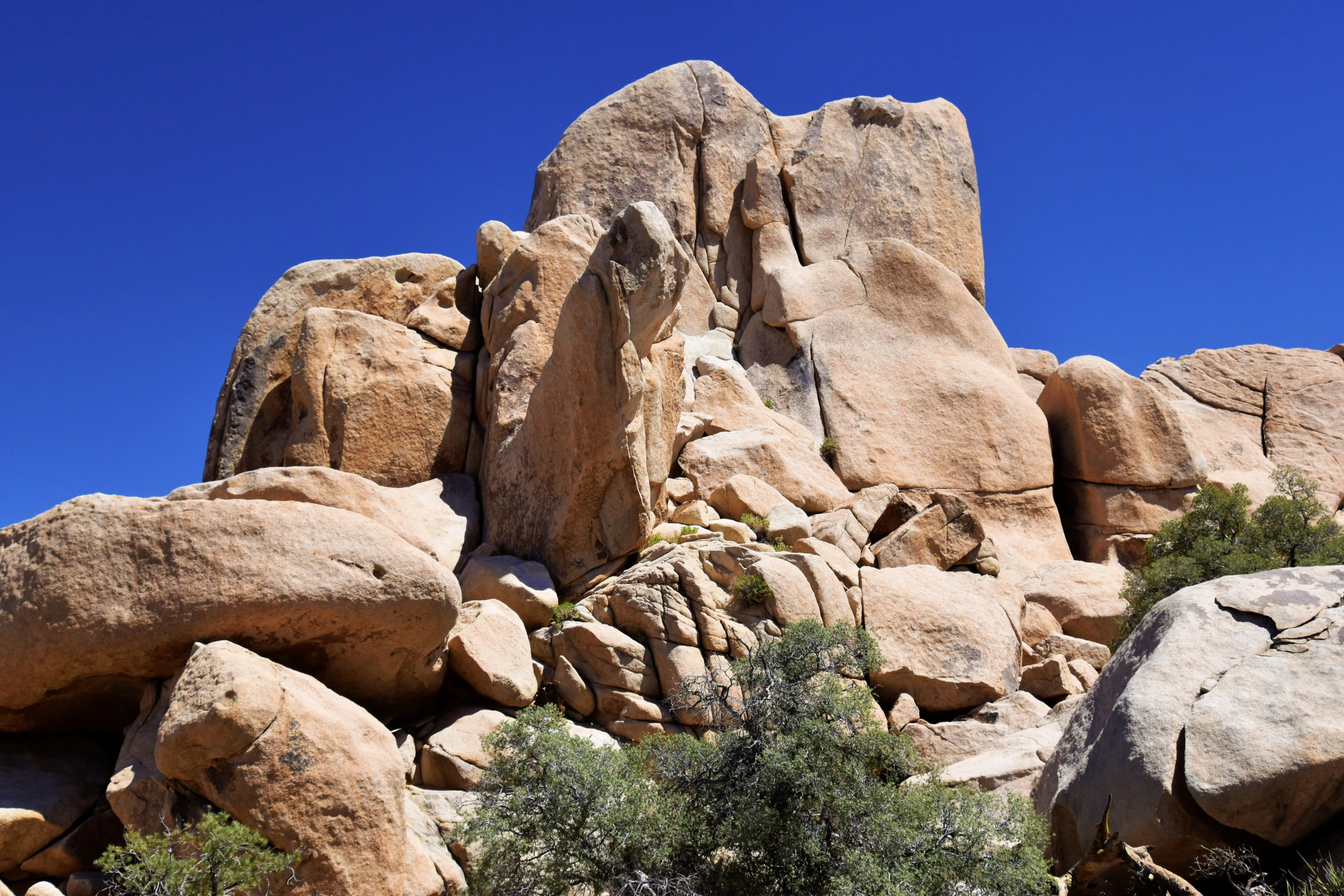 many large rocks and boulders near some trees