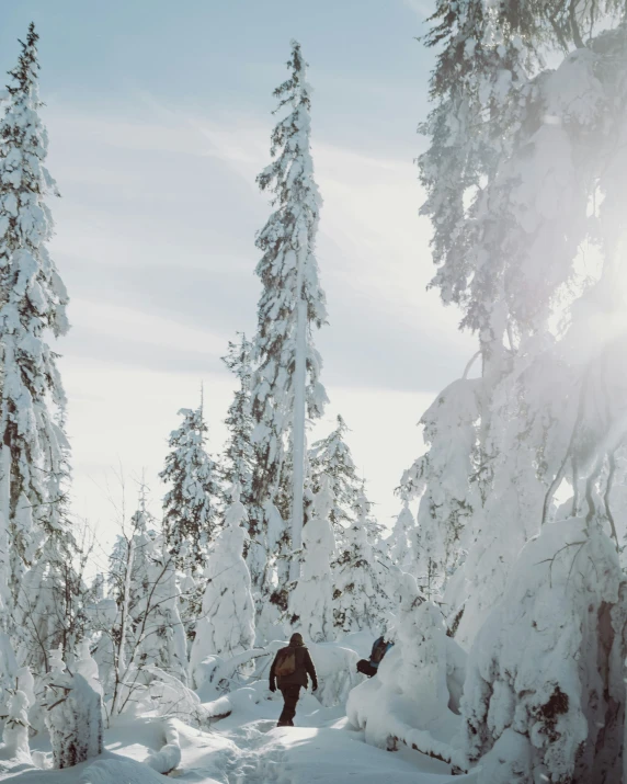 a man with skis in snow covered trees