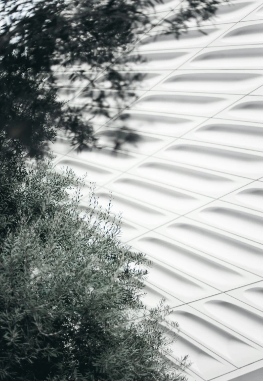 a black and white po of the top of a building with sun shining through the windows