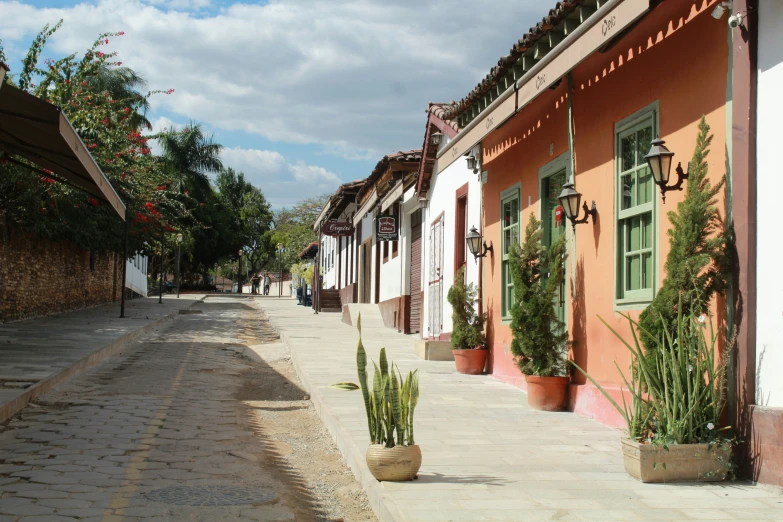 a small narrow street has several potted cacti on it