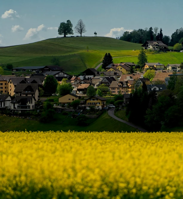 an area with many houses on it in a rural area