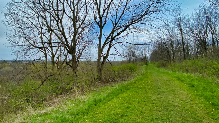 this is an image of a dirt path and grass