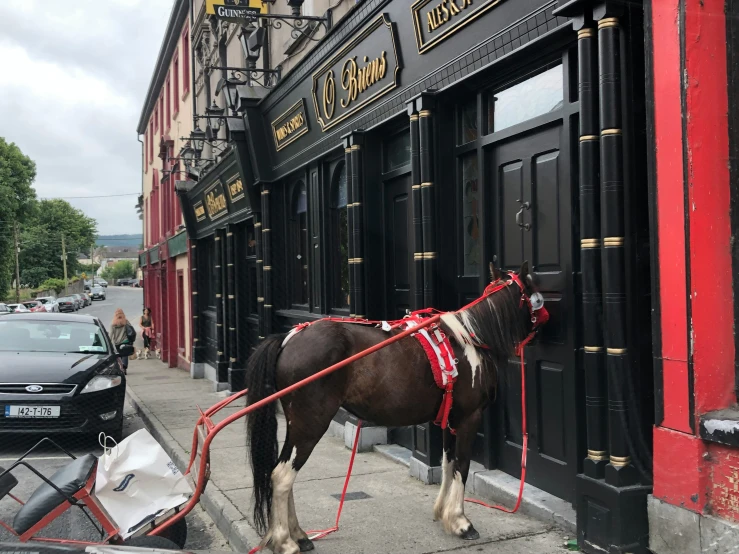 a small horse is tied up to the side of the building