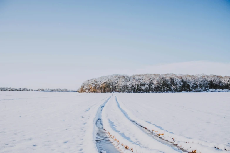 a path leading to the trees in a snow covered field