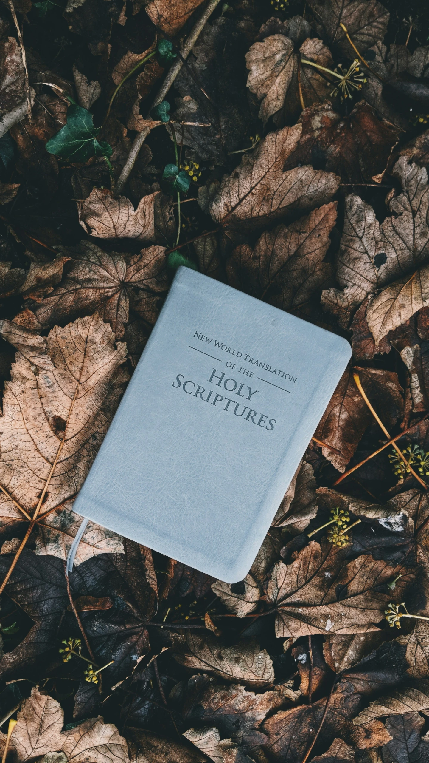 a book that is sitting on the ground