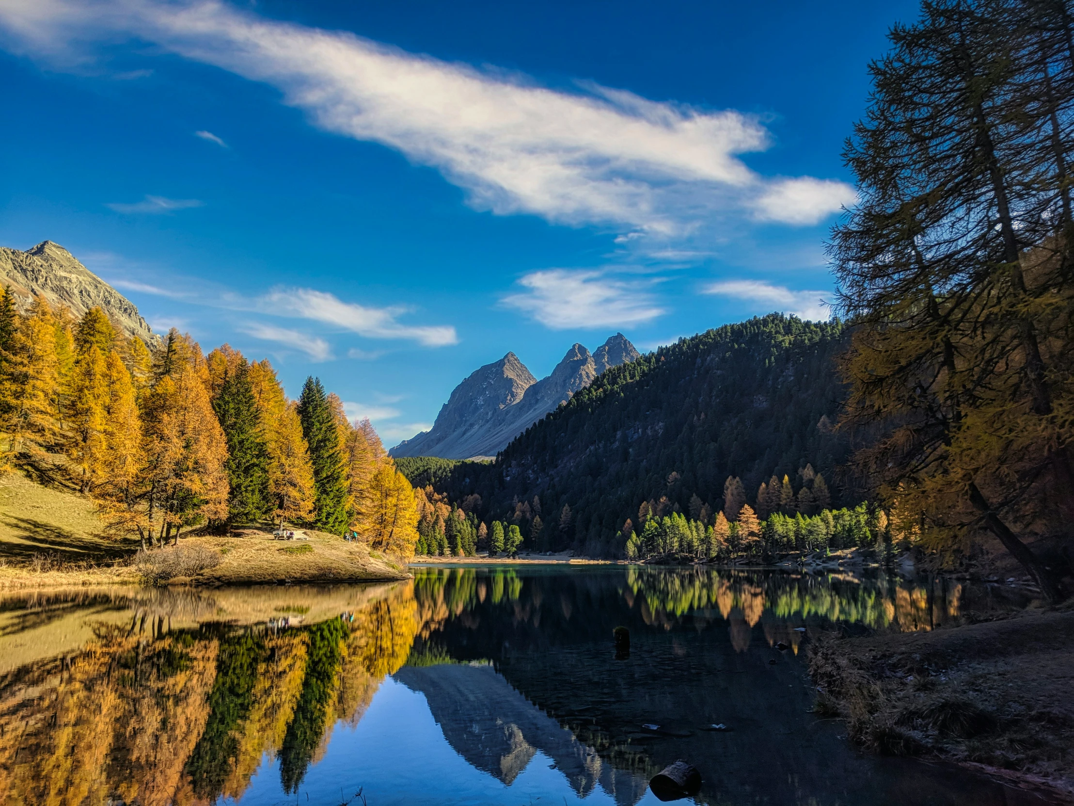 the trees have colorful leaves on them in the mountains