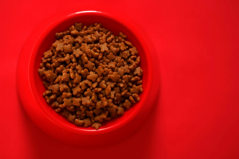 small bowl filled with cat food with red surface