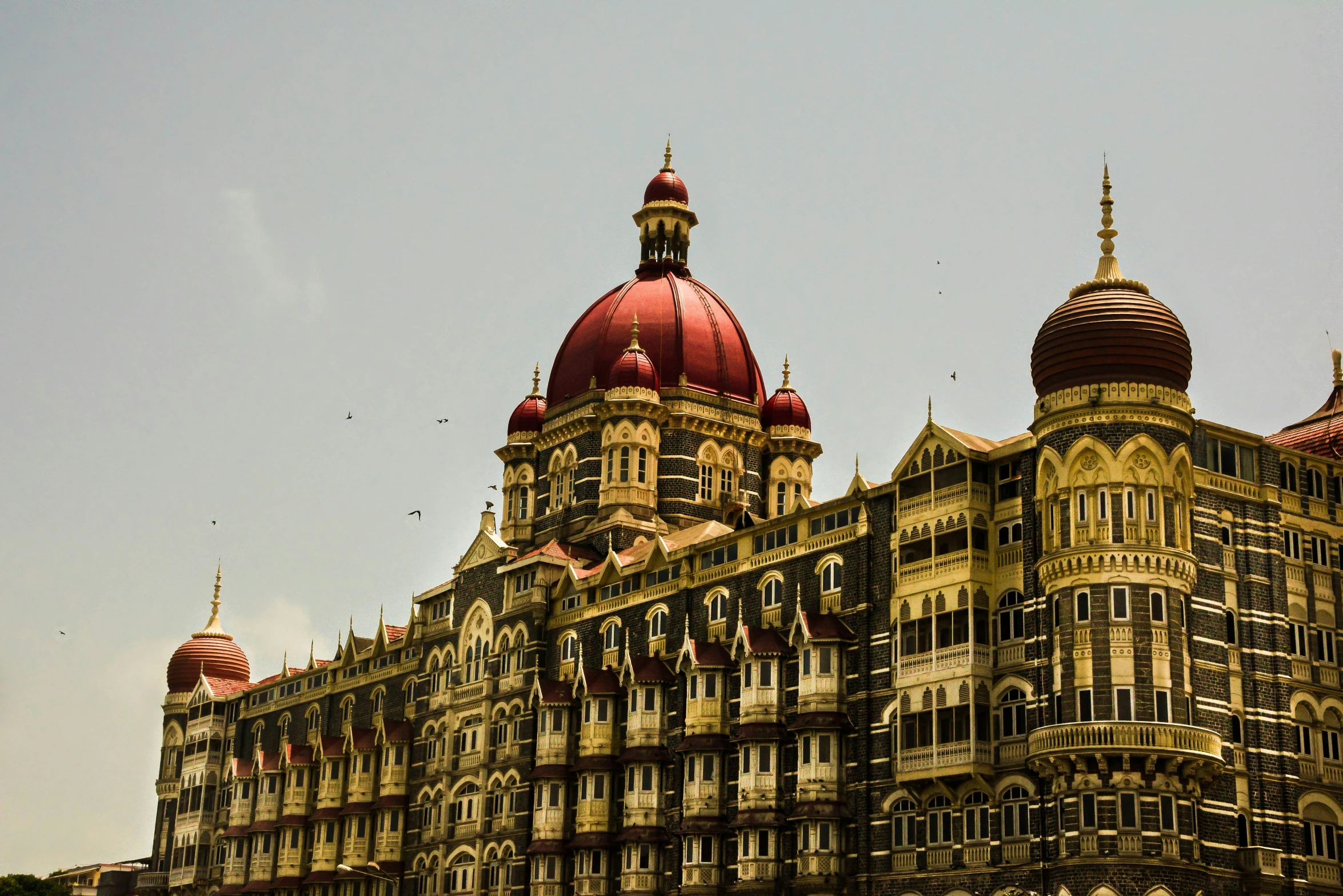 very large ornate buildings sit together in the sun