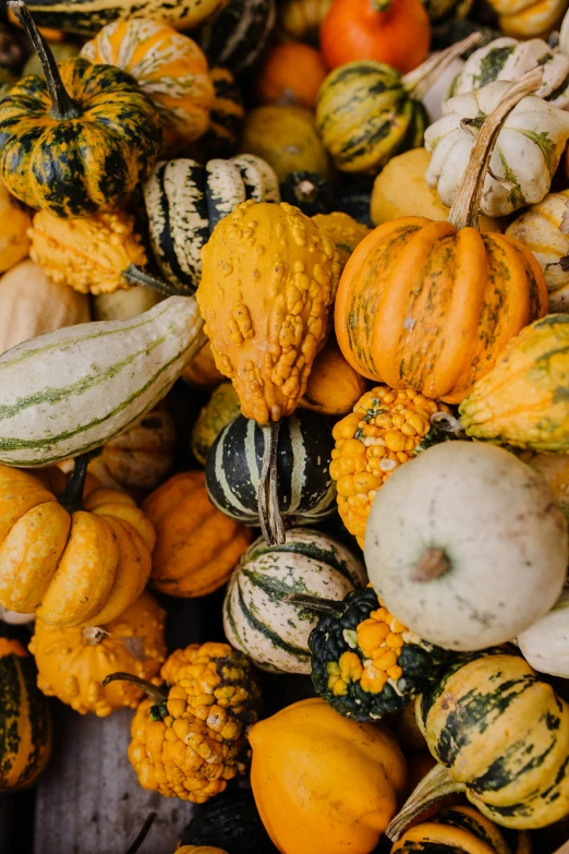 many different types of pumpkins are stacked on each other