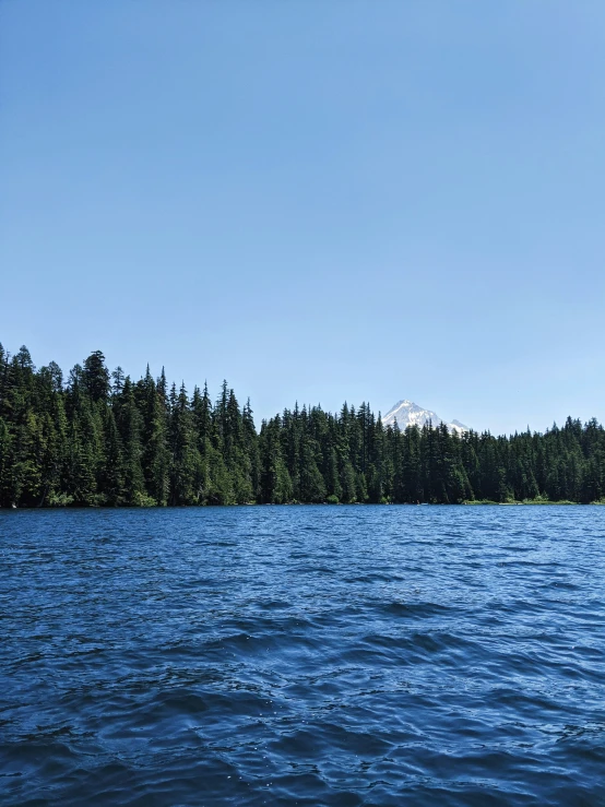 some trees are by the water with blue skies