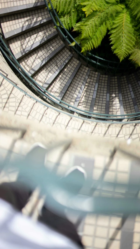 the top portion of a spiral staircase is covered in foliage