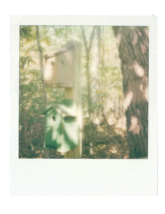 an image of a bird house on a post in the woods