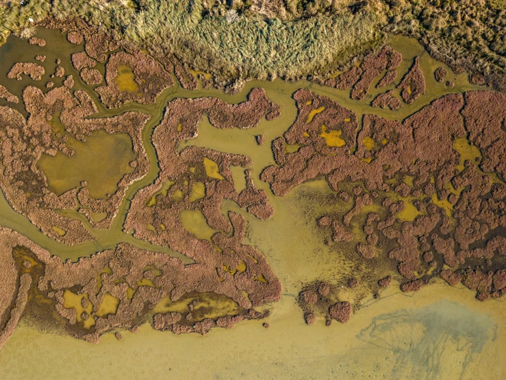 an aerial view of the terrain of a forested area