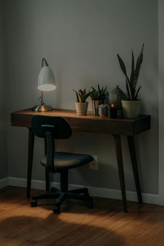 an office desk with a chair and plants