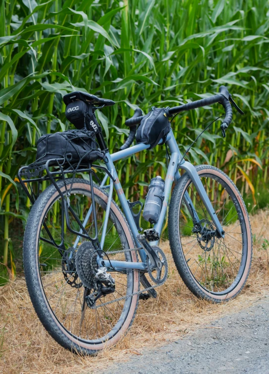 a bike sitting next to some ears of corn