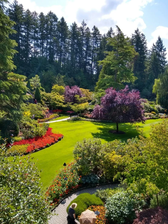 a garden with flowers and trees in the background