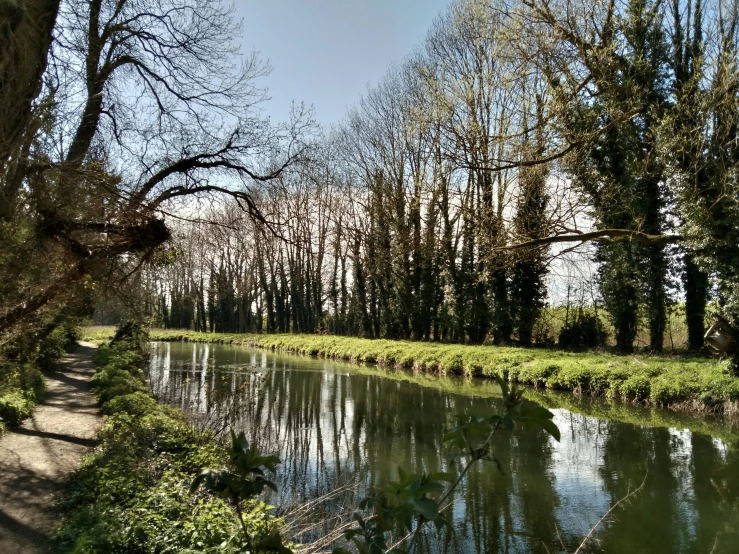 there is a view down the river from a trail