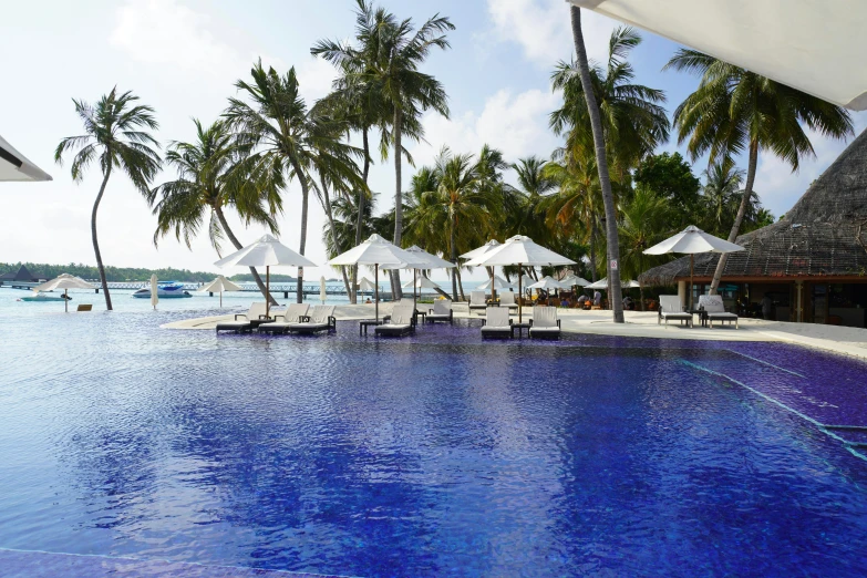 umbrellas on the edge of a swimming pool on an island