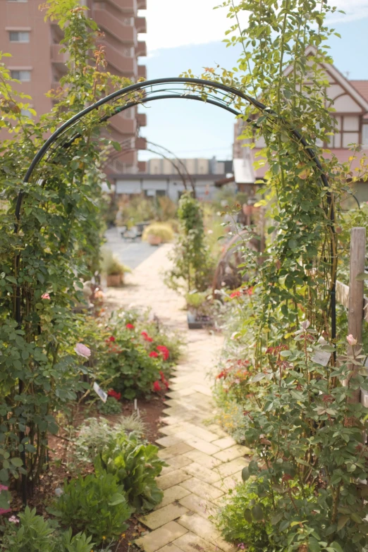 a walkway is covered in many green plants