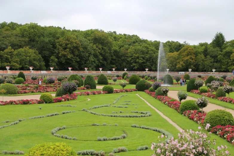 a large green garden with trees and bushes surrounding