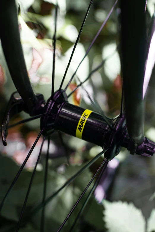 a close up view of a purple bicycle's spokes