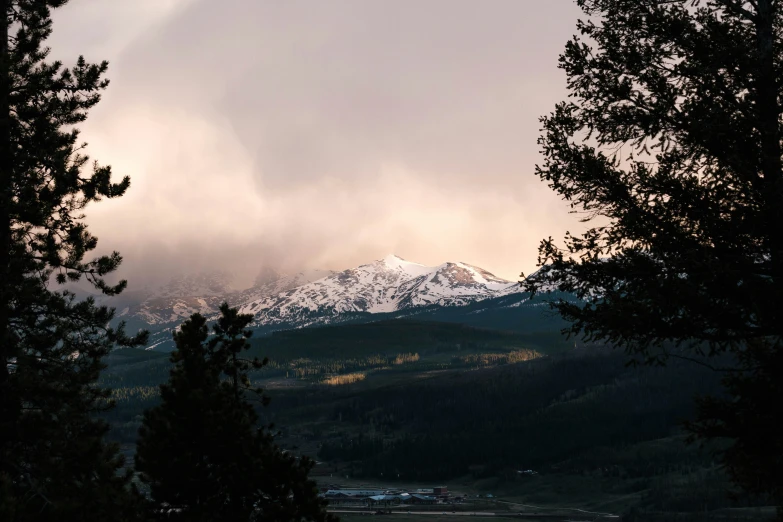 looking out over some mountains through the trees