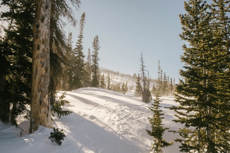 a man is snowboarding down a snowy slope