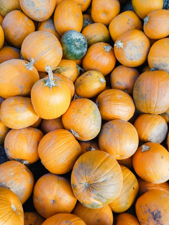 several pumpkins stacked and different fruits with leaves