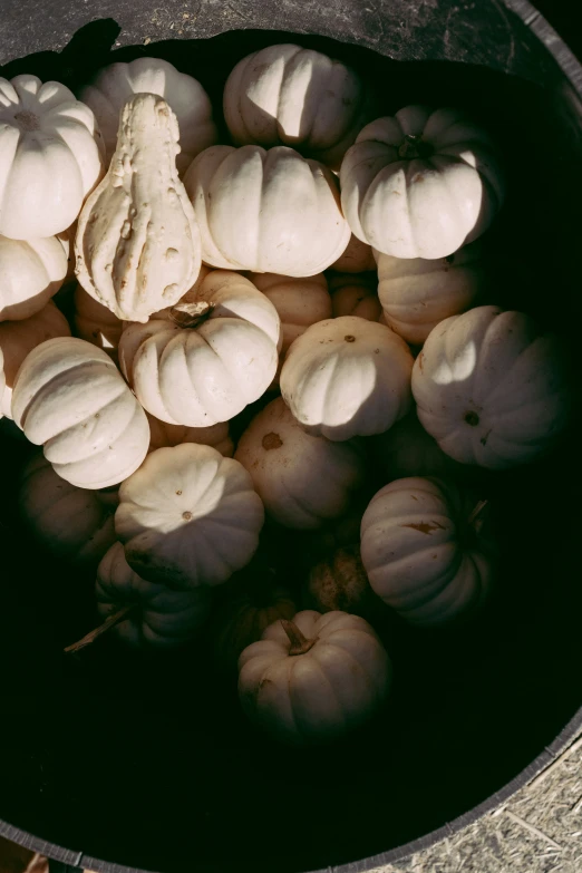 a bunch of small white pumpkins in a bowl