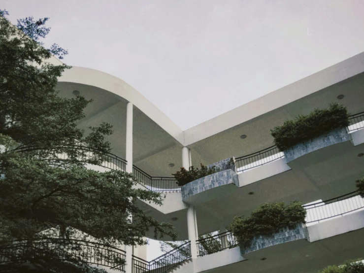 several balconies, trees, and planters on an apartment building