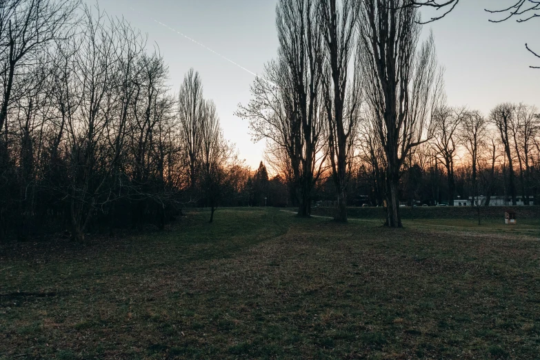 there is a field with trees on it and no one is seen