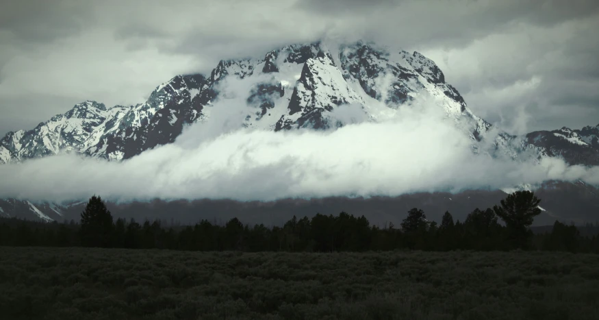 the mountain in the foreground has trees below it